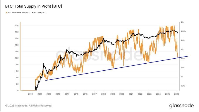 Bitcoin Bottom In? This Key Metric Signals BTC May Have Reached Its Floor