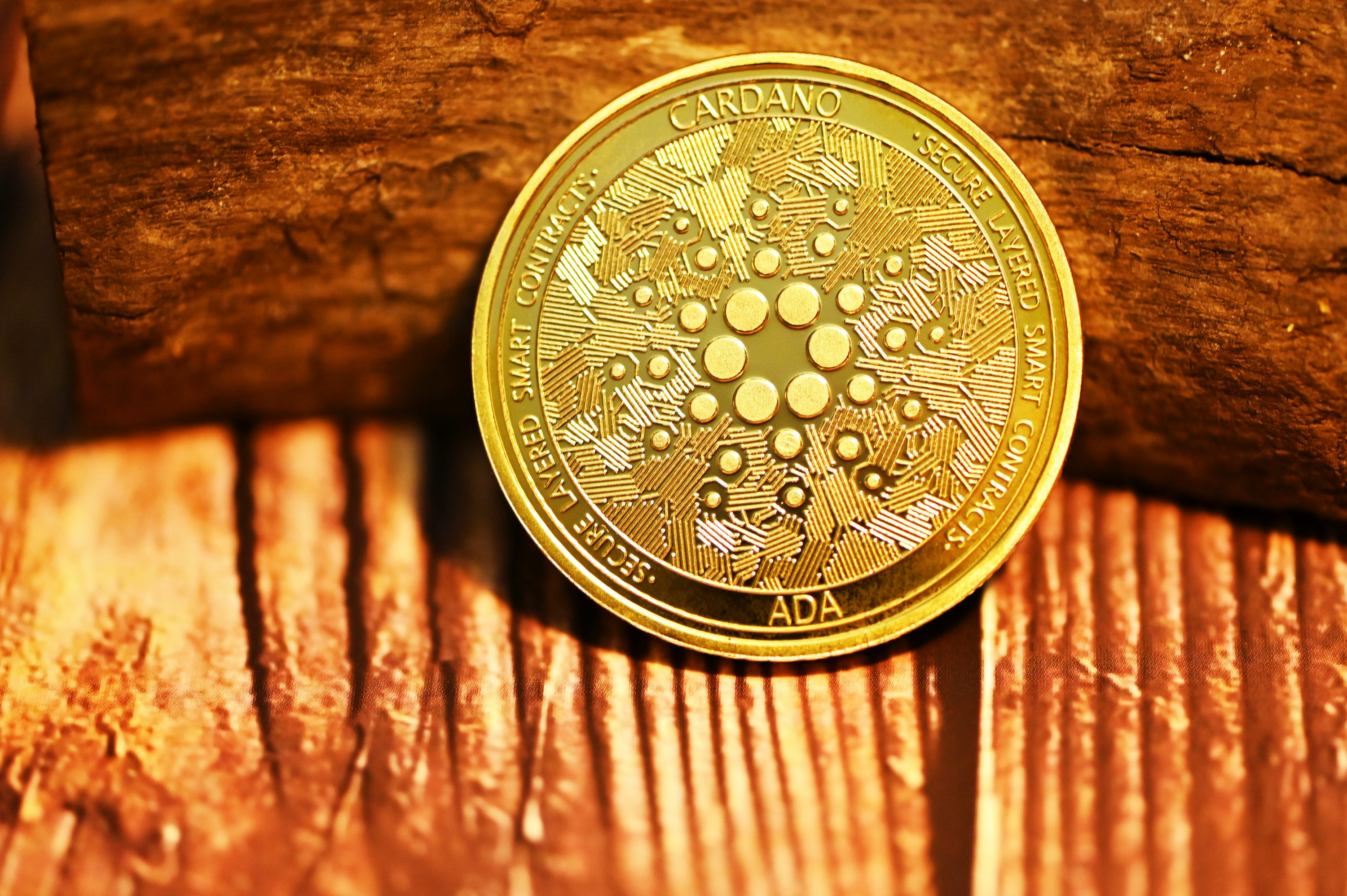 Can ADA Price Still Surge? Cardano Founder Says The Best Is Yet To Come