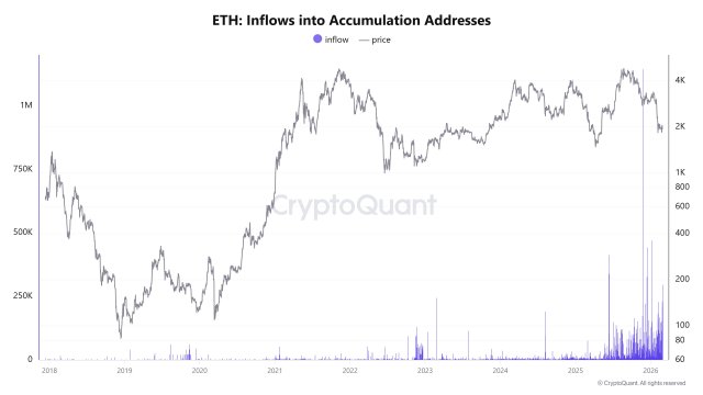 Ethereum Accumulation Addresses See Continued Capital Inflows While Market Volatility Persists
