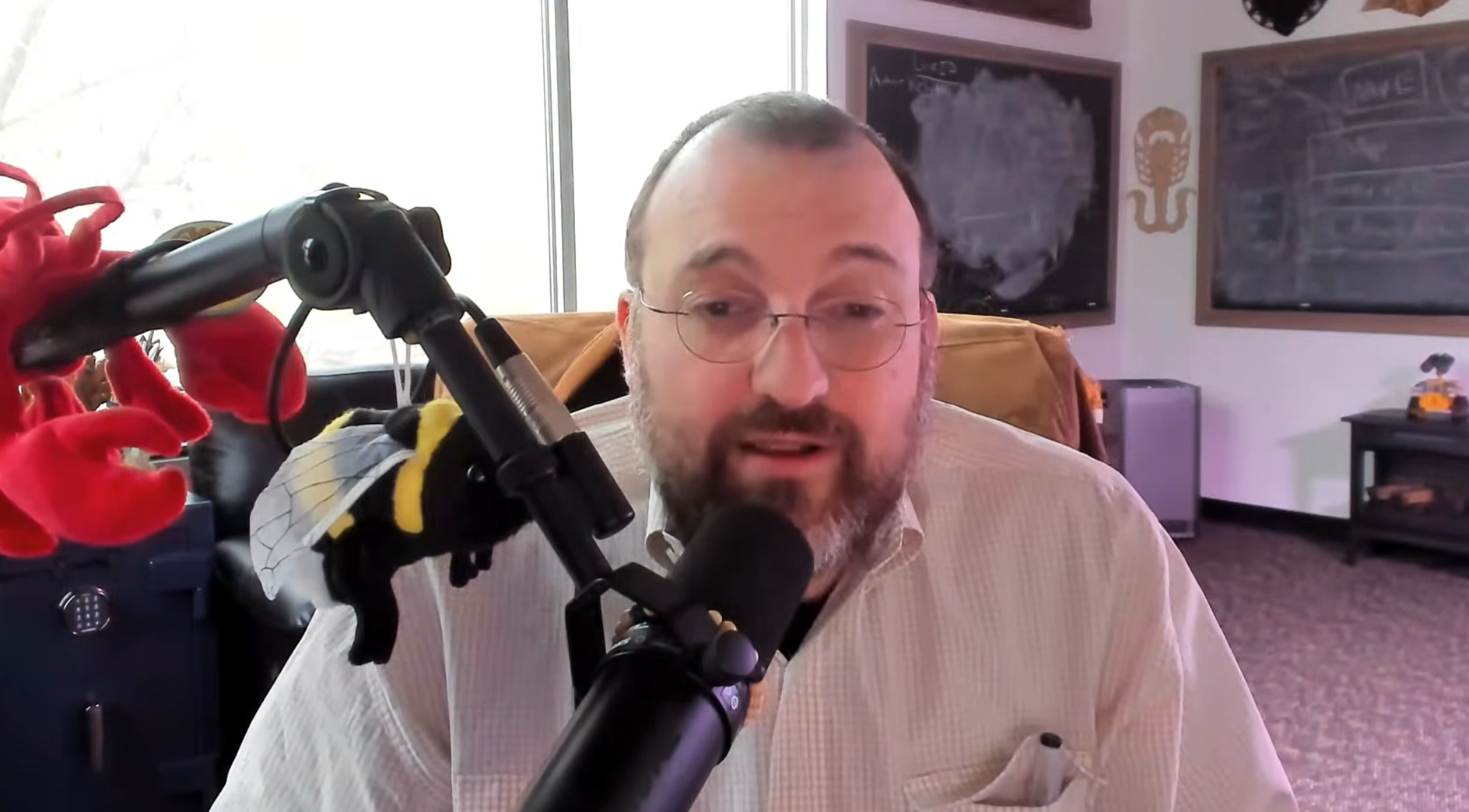 Cardano Founder Unveils Midnight Rollout Plan