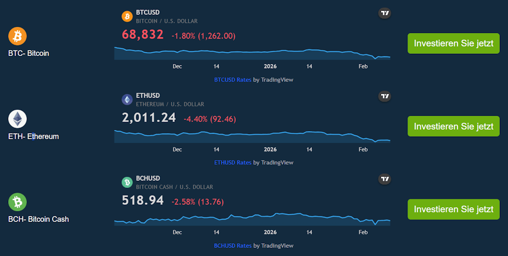 Trading Software testen