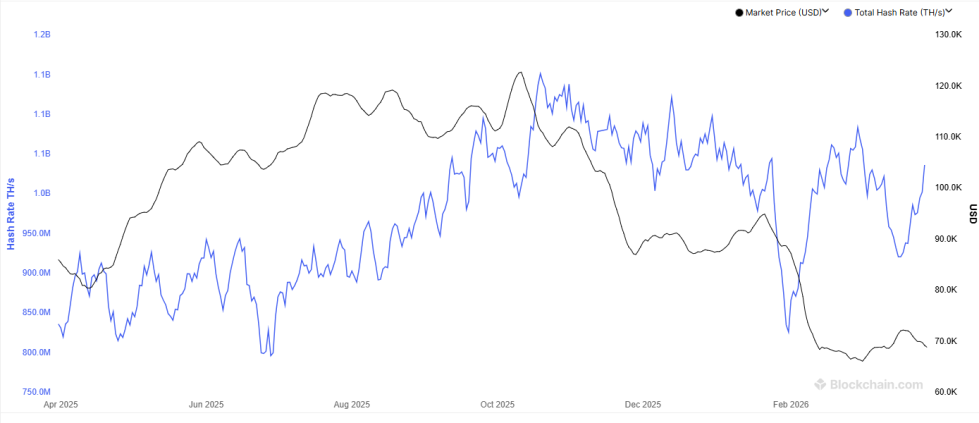 Bitcoin Hashrate