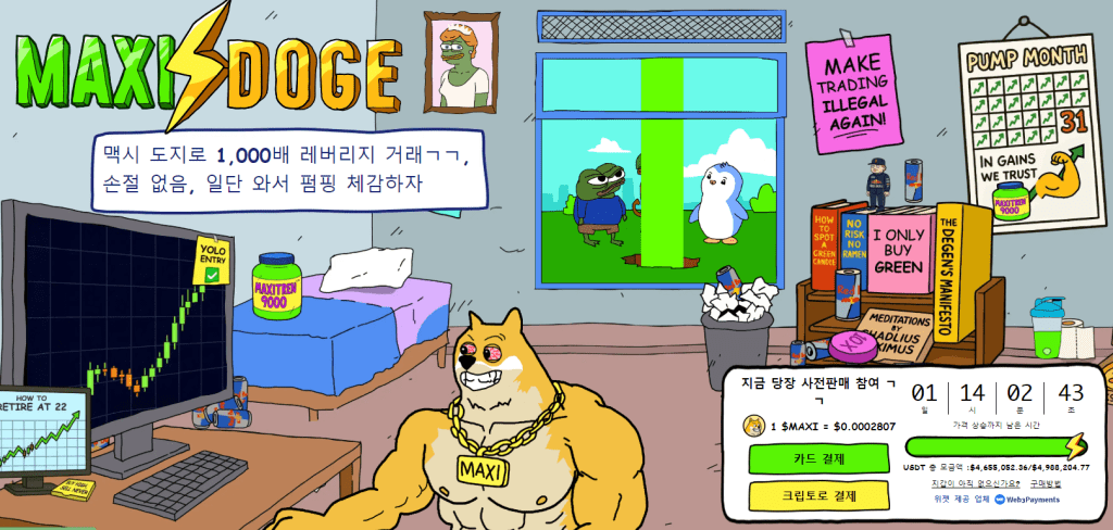 맥시 도지 사전판매 웹사이트