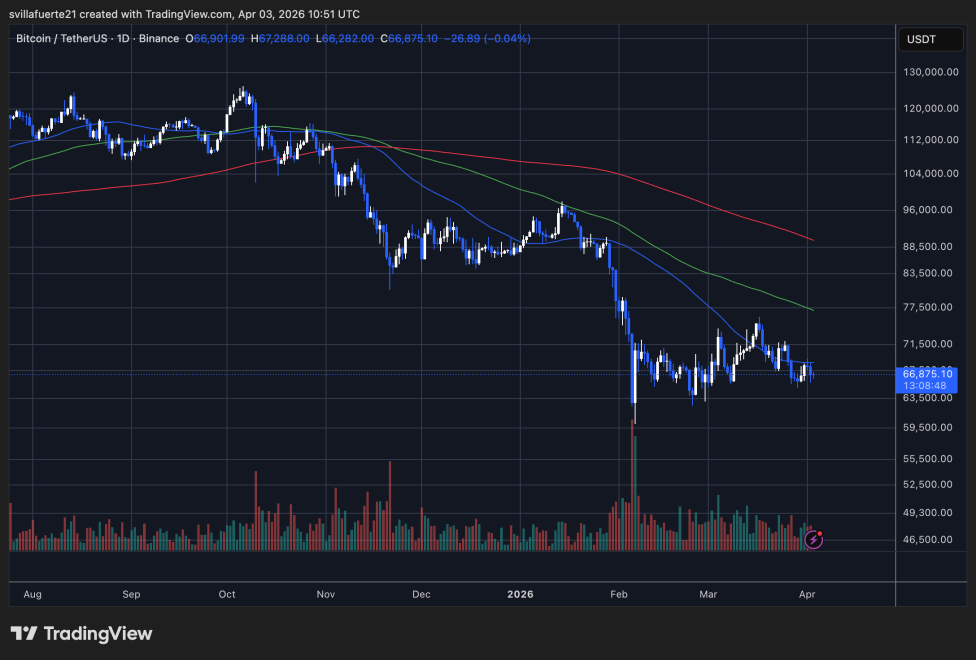 BTC consolidates in a range | Source: BTCUSDT chart on TradingView