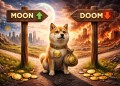 Doge at the crossroads of fate 2