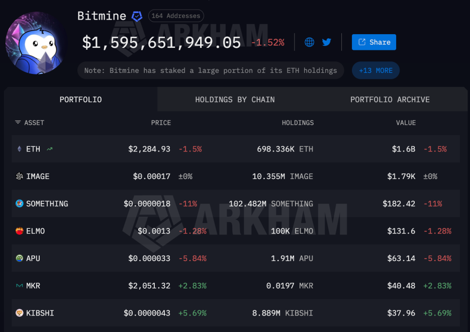 Bitmine Portfolio | Source: Arkham