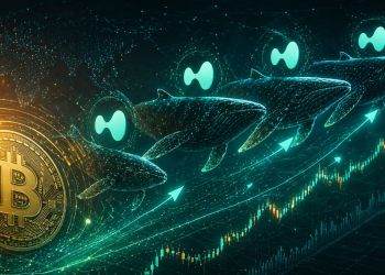 Bitcoin Whales Are All Leaning The Same Way On Hyperliquid: Discover What That Means