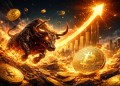 bitcoin bull run