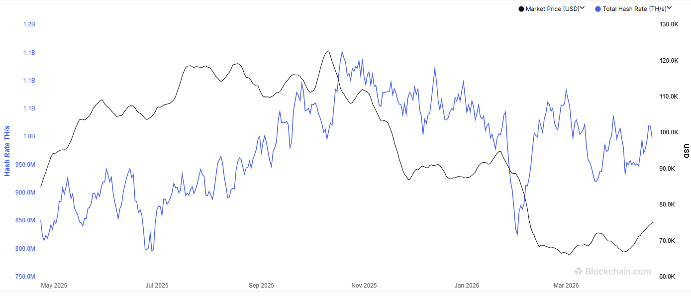 Bitcoin Hashrate