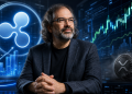 David Schwartz Says Ripple Stock Is His Real Bet, Not XRP