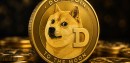 Dogecoin price