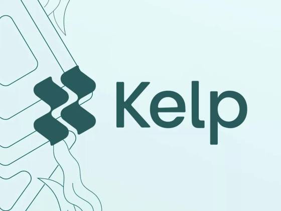 KelpDAO: rsETH Records $936k Net Outflows One Month Post-Hack – Details