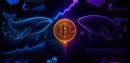 New Whales Added 150K Bitcoin During The Rally, Old Whales Barely Moved – Discover What That Split Means