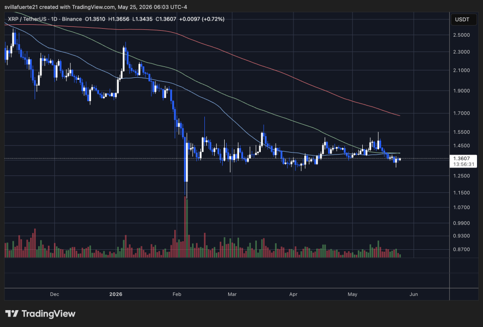 XRP consolidates around key resistance level | Source: XRPUSDT chart on TradingView