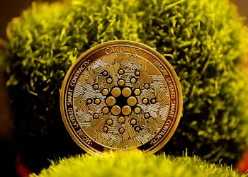 Cardano