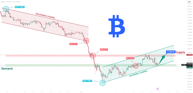 Bitwise And Vise Bring Crypto Model Portfolios To Financial Advisors